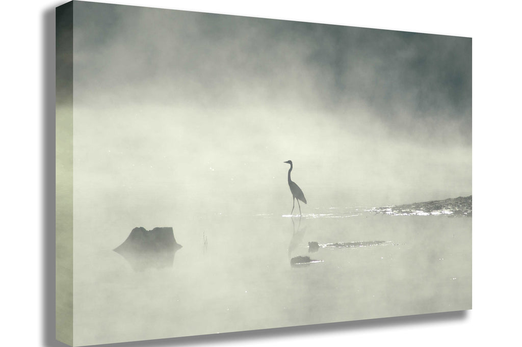 Guernsey Mist I Wall Canvas Printed