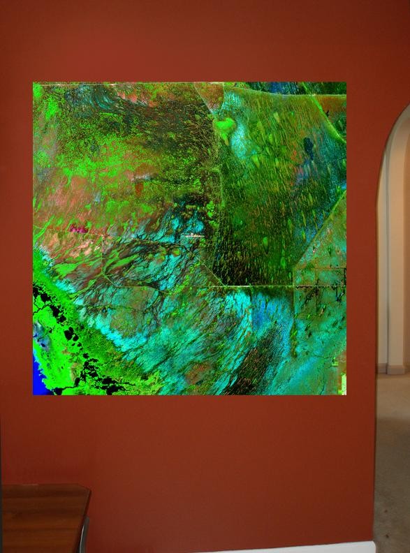 Buell Everglades Wall Decal