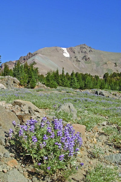 Hogan Mountain I Glossy Poster