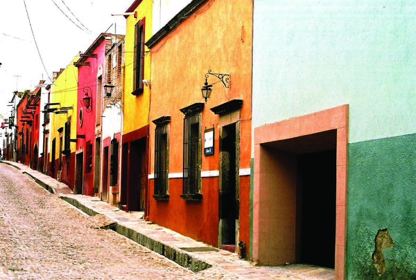 Warren Mexico IV Wall Decal