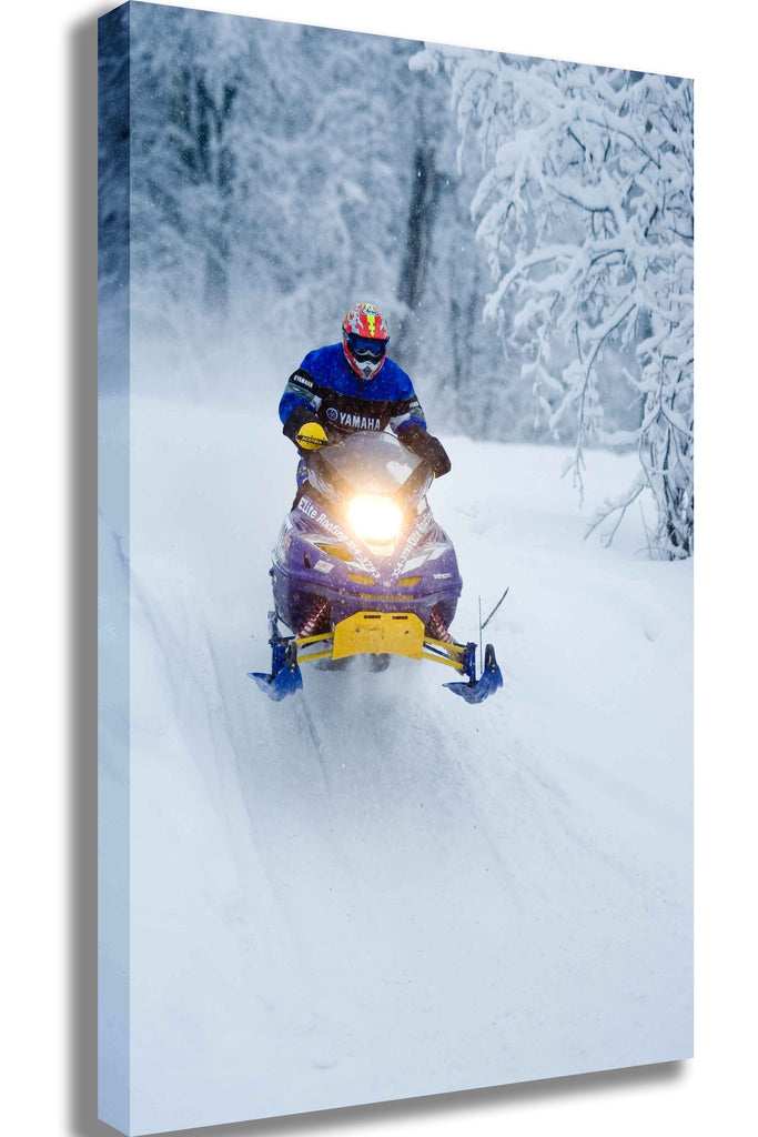 Searchlight GP Arctic II Canvas Printed