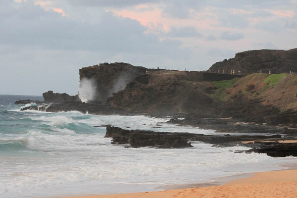 Howard "Splashing" Wall Decal