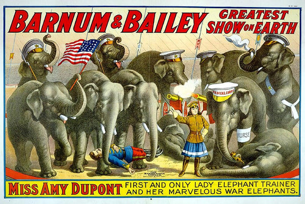 Buell "Barnum & Bailey" Miss Amy Dupont Wall Decal