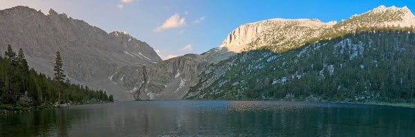 DeWitt Panorama I Wall Decal