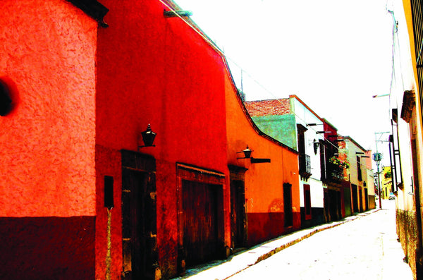 Warren Mexico XII Wall Decal