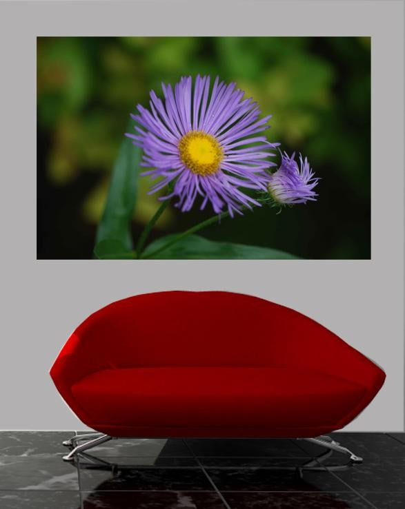 Clark Daisy Wall Decal