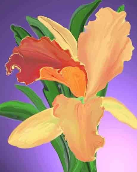 Pick "Bantham Orchid" Glossy Poster