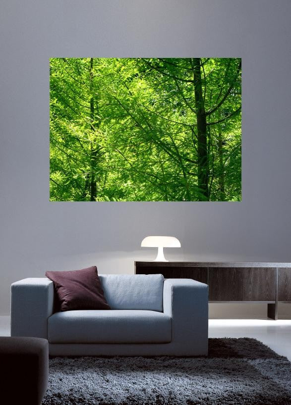 Kraft "Sunlit Forest" Glossy Poster