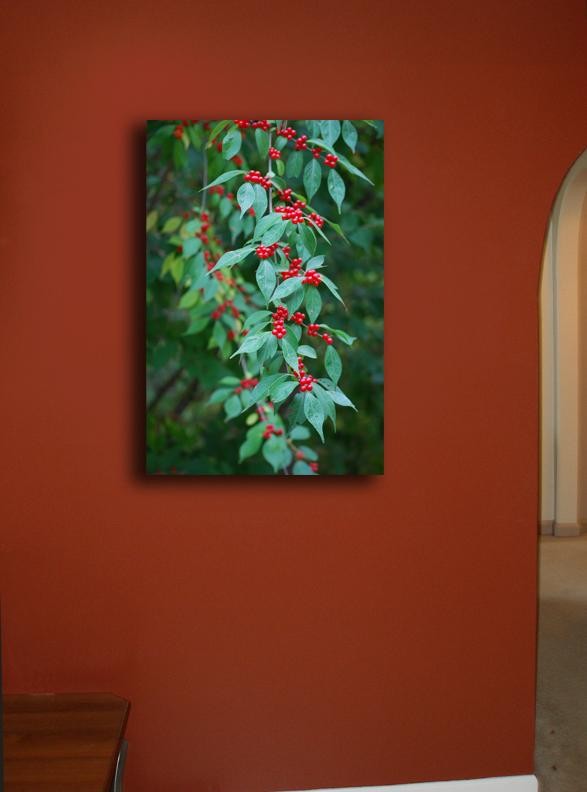 Clark Berries Canvas Installed