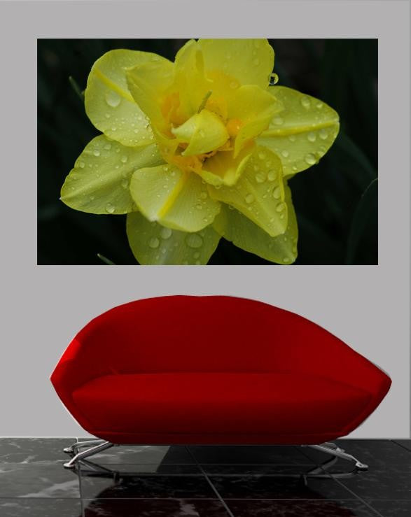 Guernsey Flower Wall Decal