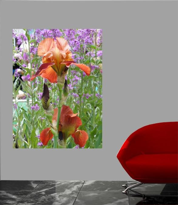 Sumerlin Iris of Knight Glossy Poster