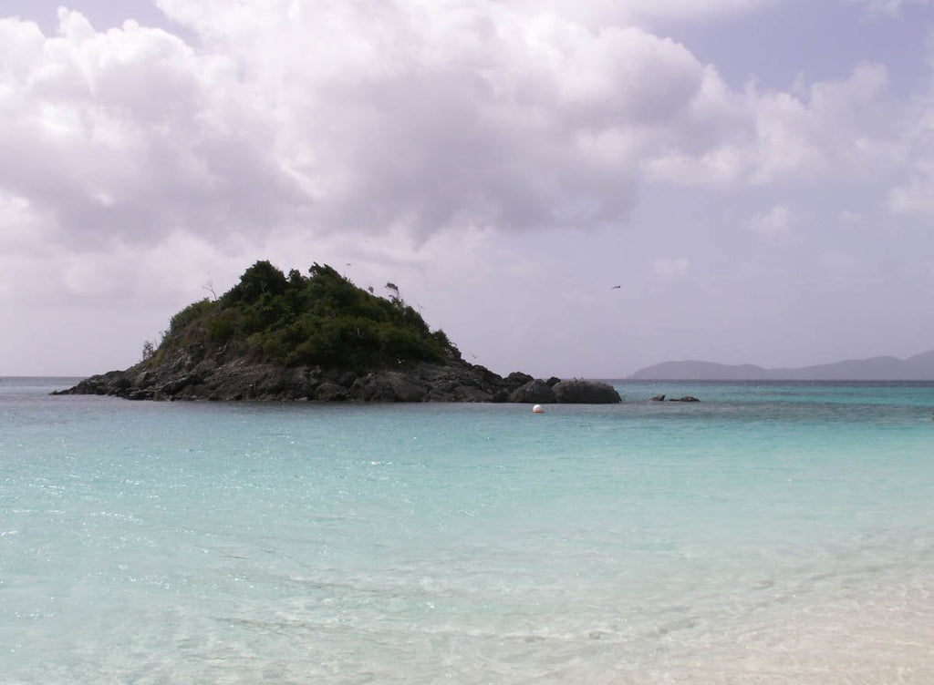 Howard "Simplicity" Glossy Poster