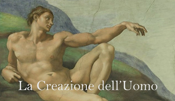 Sim "Michelangelo Adam" Glossy Poster