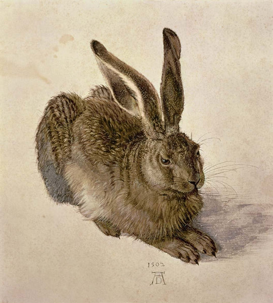 Durer "Hare" (1502) Glossy Poster