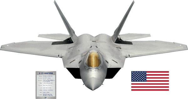 Lee "F-22" Wall Decal Cutout