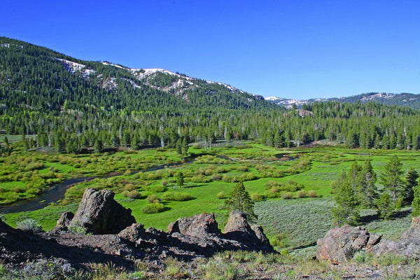 Hogan Mountain VII Glossy Poster