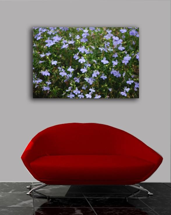 Clark Flowers Canvas Installed