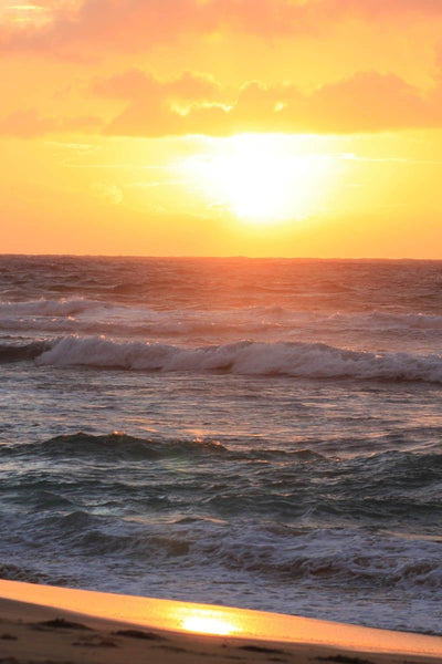 Howard Sunrise III Wall Decal