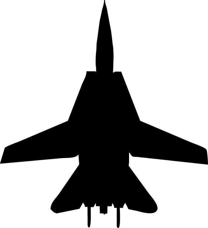 Haynes Silhouette Jet (F14 Tomcat) III Wall Decal Cutout