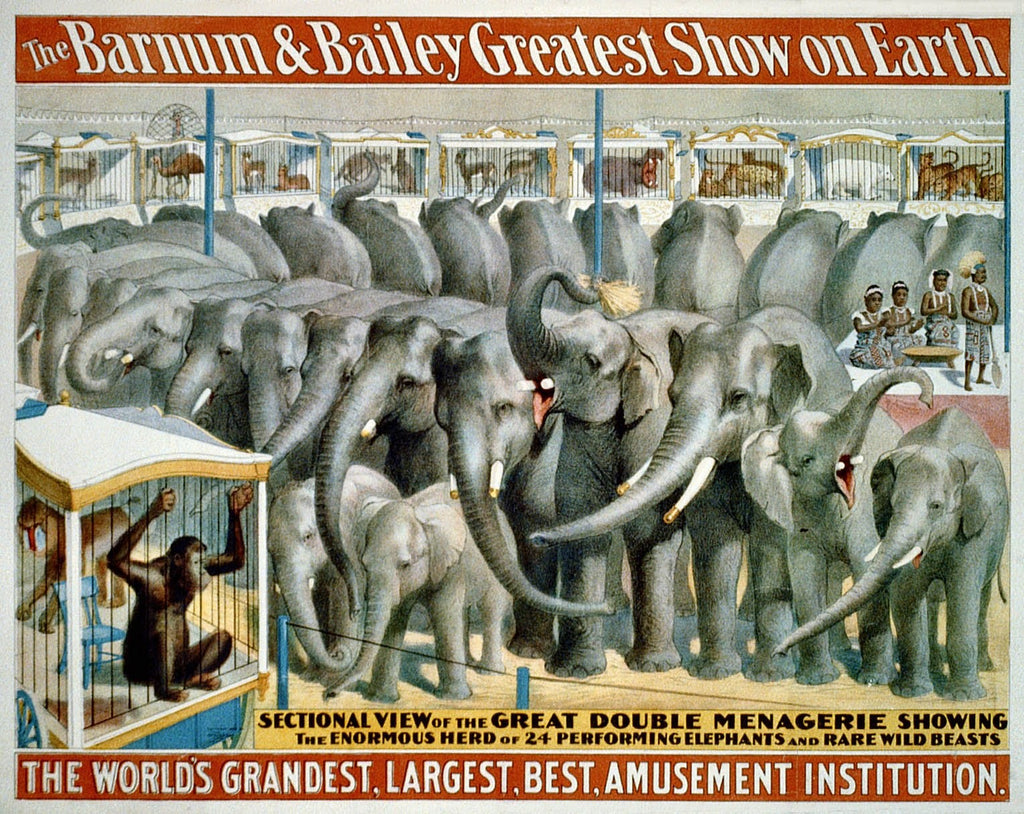 Buell "Barnum & Bailey" 1895 Elephant Glossy Poster