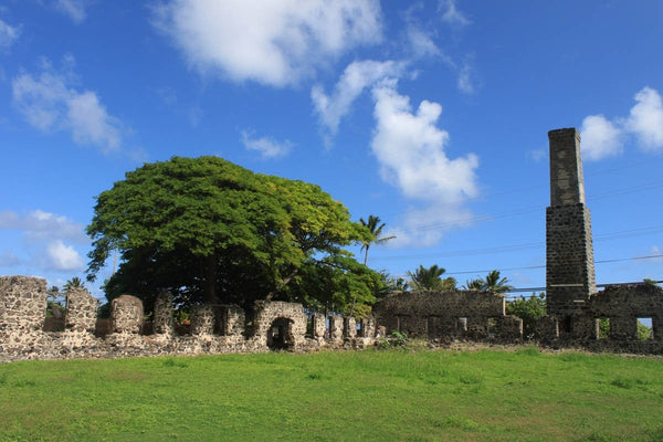 Howard Sugar Mill Glossy Poster