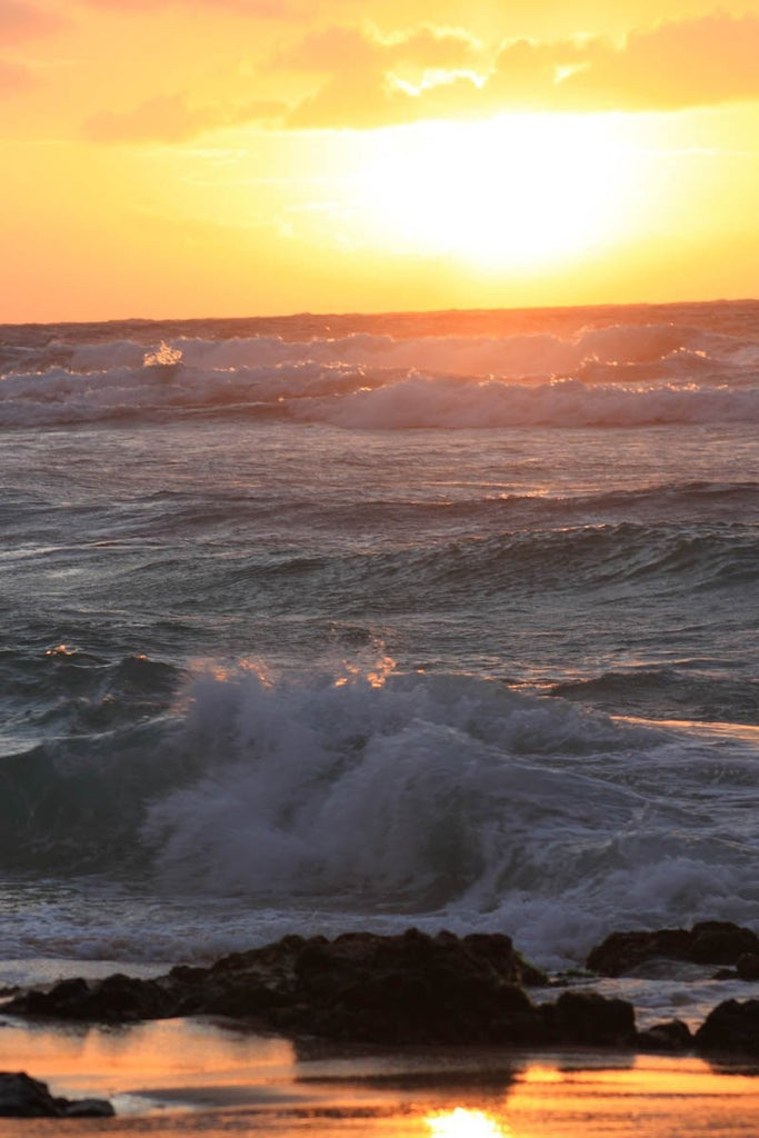 Howard Sunrise II Wall Decal