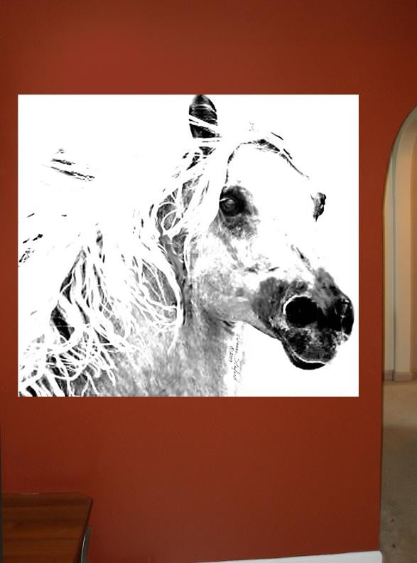 Tymeless Wonders Horse I Glossy Poster