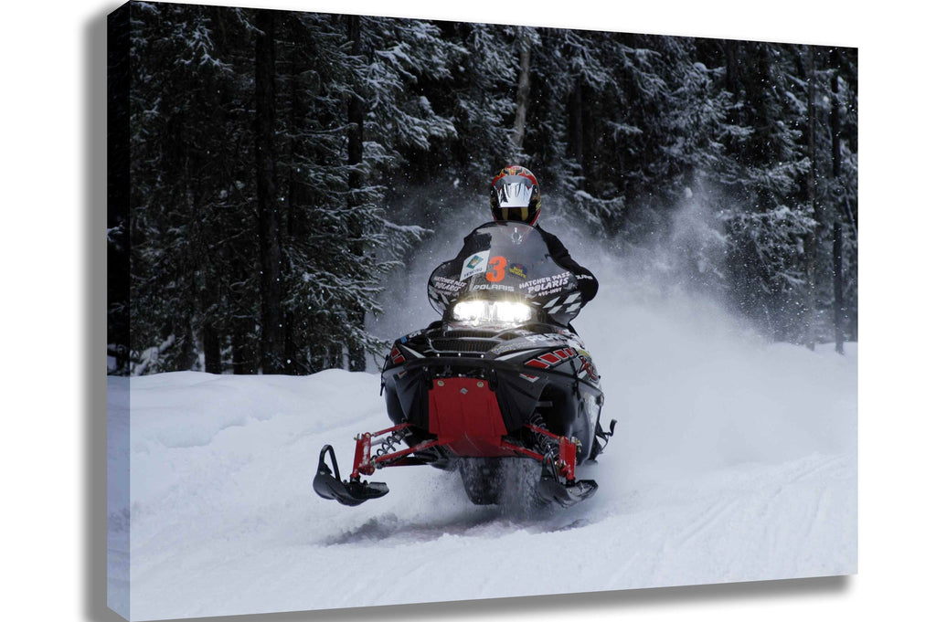 Searchlight GP Arctic IV Canvas Printed