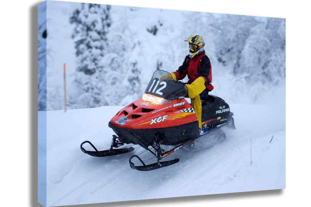 Searchlight GP Arctic III Canvas Printed