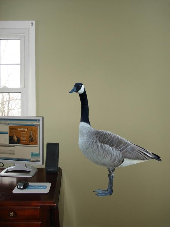 Hollis Canadian Goose Wall Decal Cutout