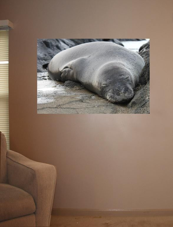 Howard Sleeping Seal Wall Decal
