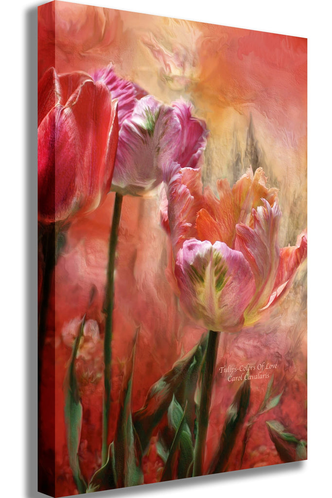 Cavalaris "Tulips-Colors Of Love" Canvas Printed