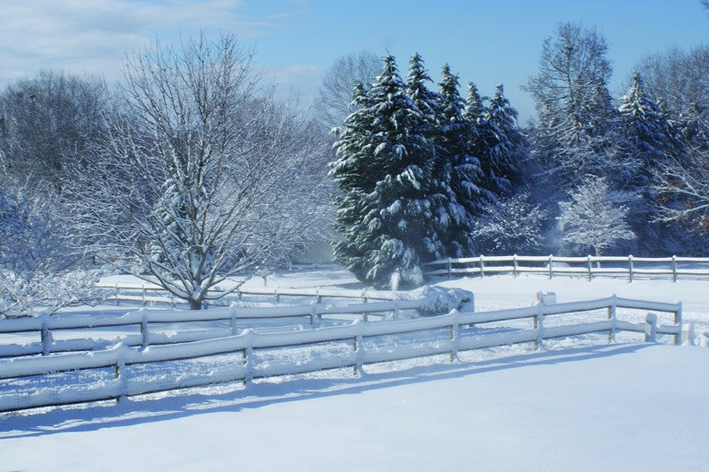 Viar Snow Glossy Poster