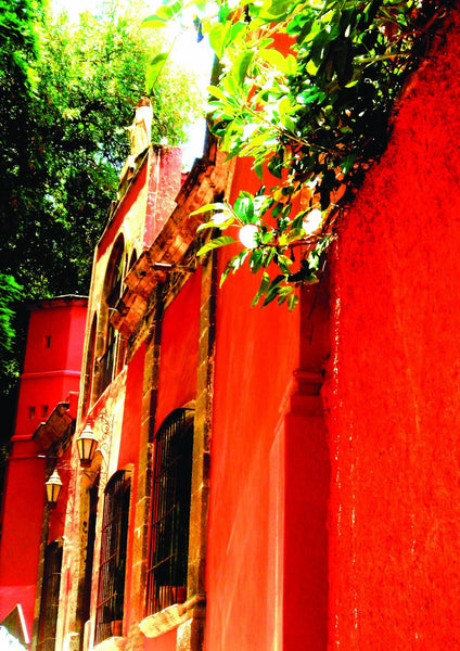 Warren Mexico XI Glossy Poster