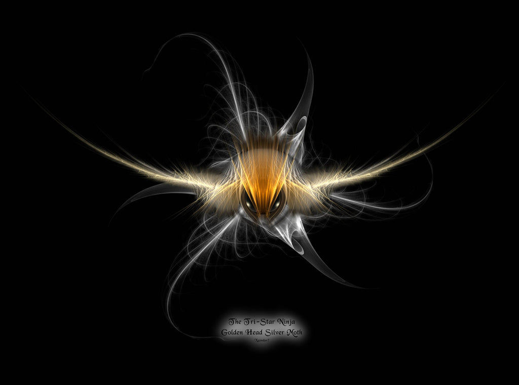 Xzendor Tri-Star Ninja Golden Head Silver Moth Glossy Poster