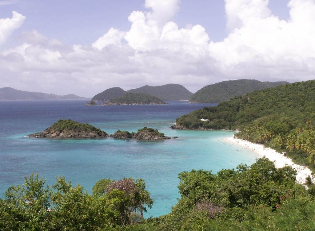 Howard Trunk Bay I Wall Decal