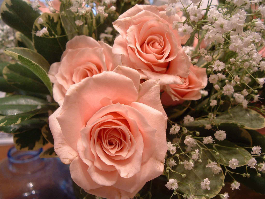 Clark Rose II Wall Decal