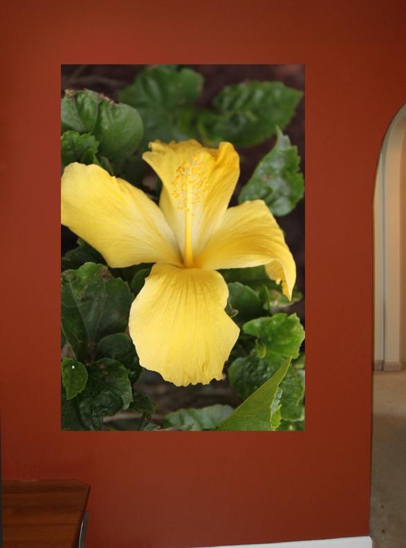 Howard "Shy Yellow" Glossy Poster