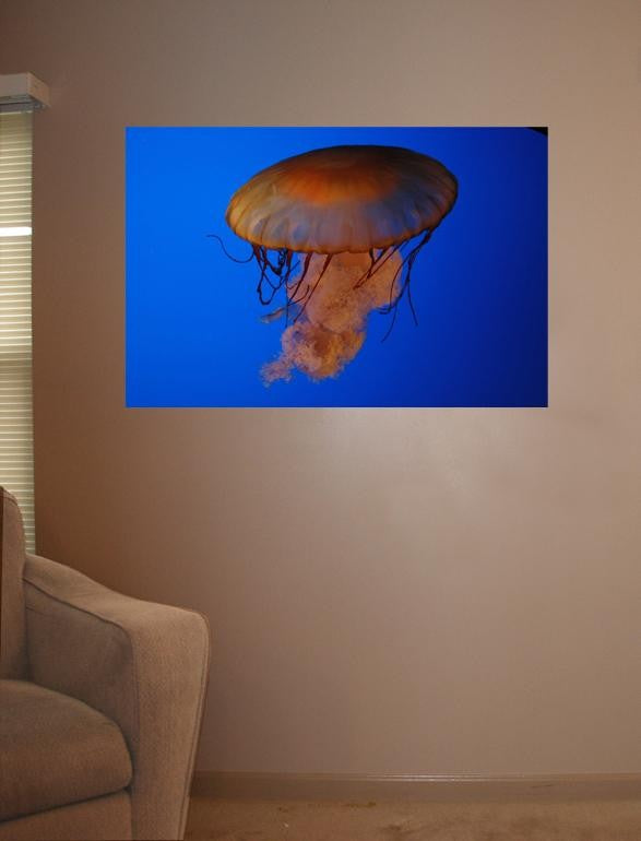 Guernsey Jellyfish II Glossy Poster