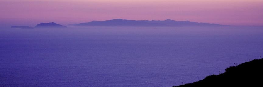 DeWitt Panorama III Wall Decal