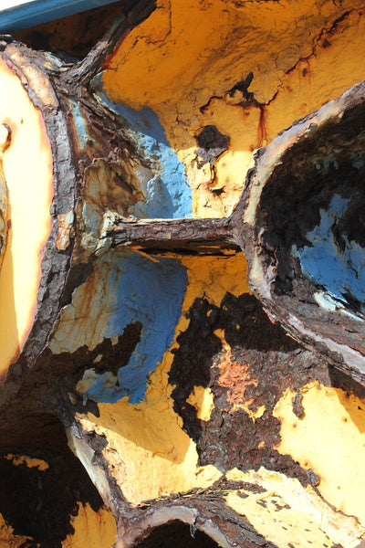 Howard "Yellow Rust" Glossy Poster