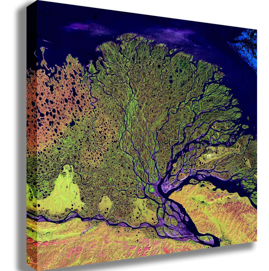 Buell Lena Canvas Printed