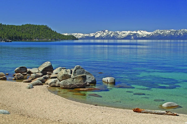 Hogan Lake V Wall Decal