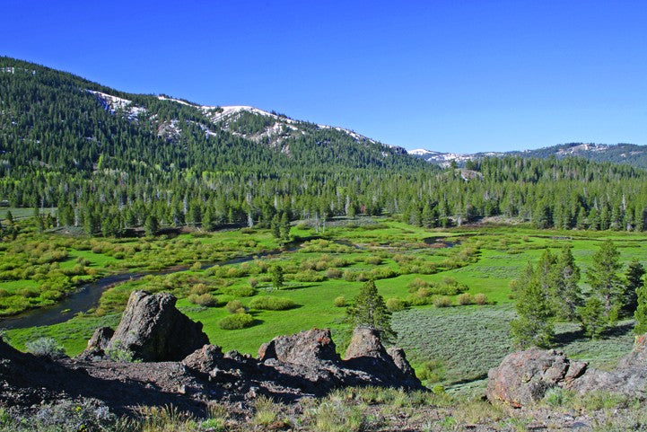 Hogan Mountain VII Wall Decal