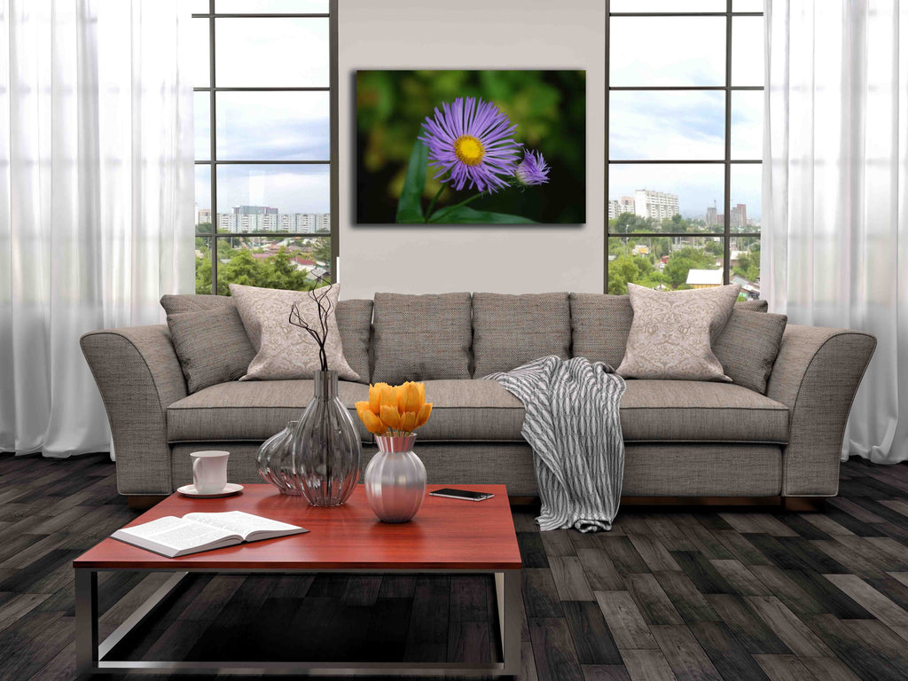 Clark Daisy Canvas Installed