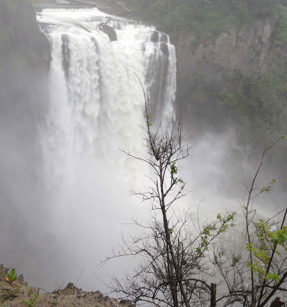 Sumerlin Snoqualmie Falls Wall Decal