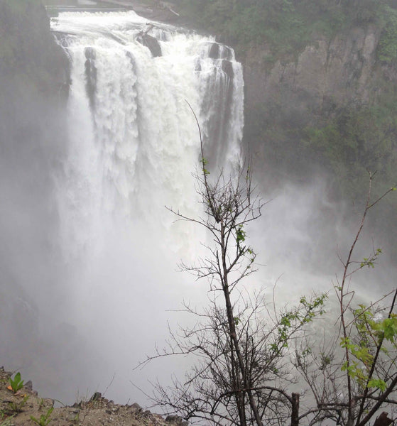 Sumerlin Snoqualmie Falls Wall Decal