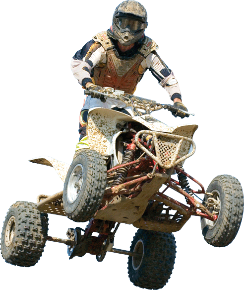 Quad Action Wall Decal Cutout