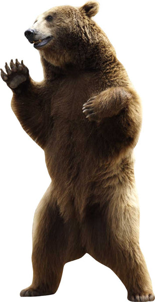Grizzly Wall Decal Cutout