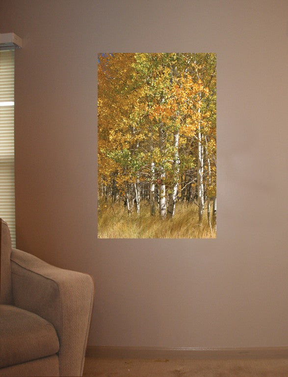 Hogan Forest I Wall Decal